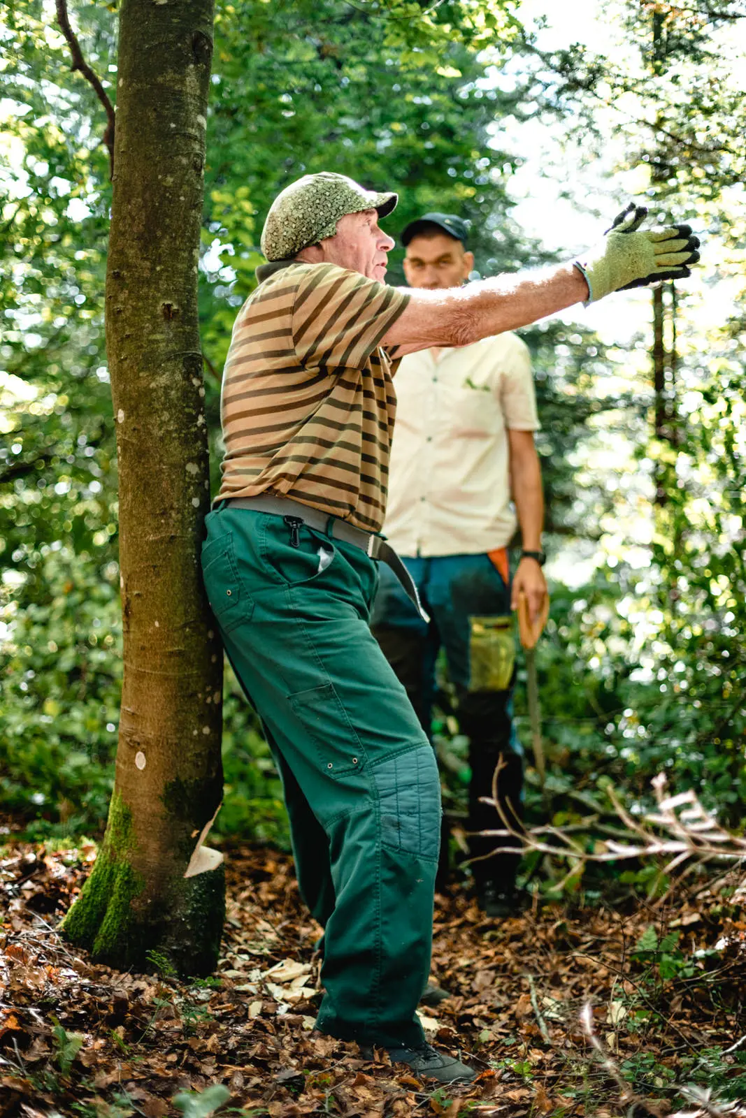 Ein alter Mann zeigt die Fallrichtung eines Baumes an