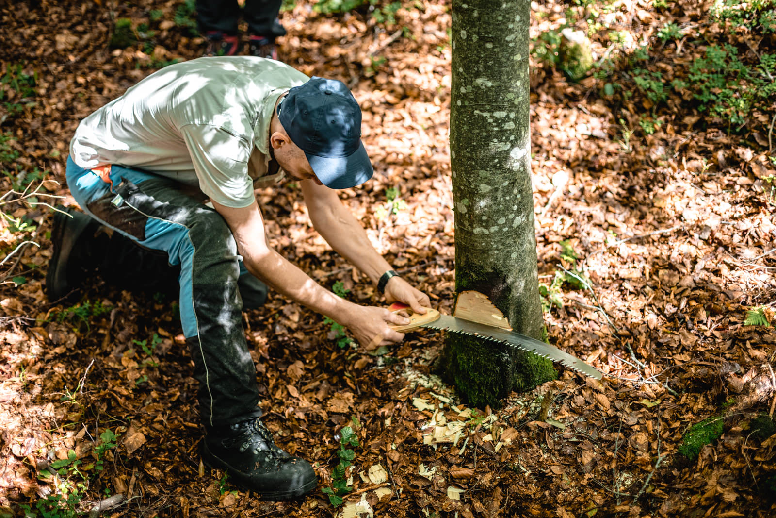 Ein Mann zeigt die Schnitttiefe an einem Baum mit seiner Handsäge