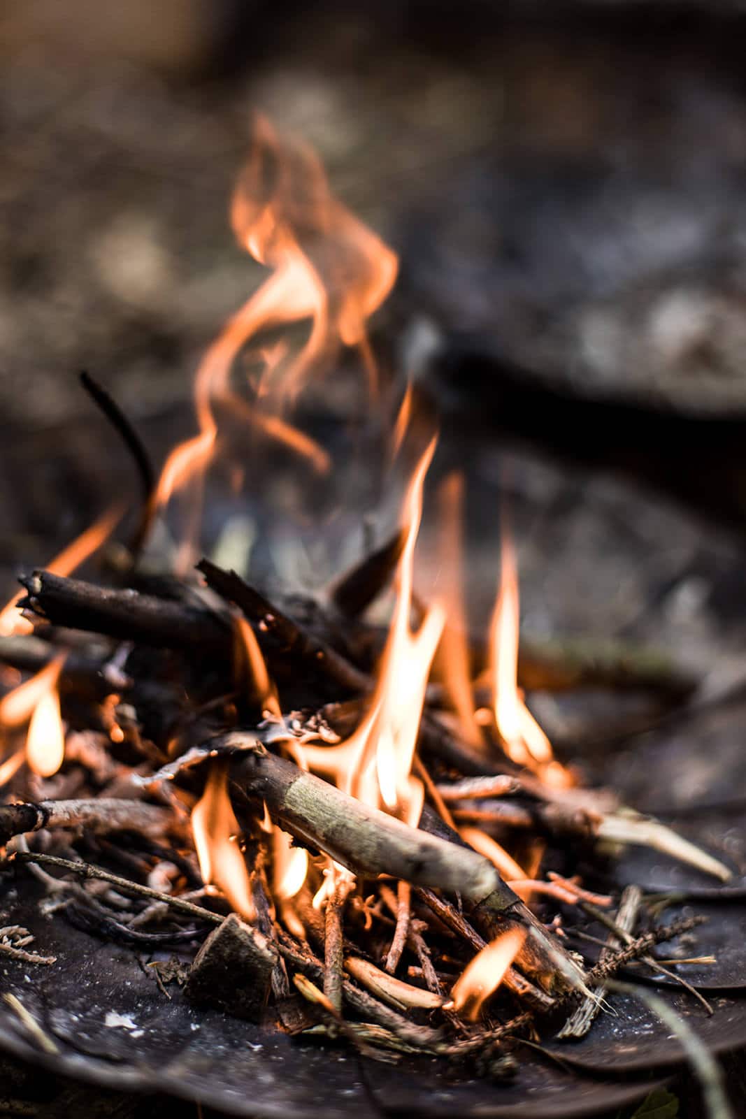 Warmes Lagerfeuer beim Outdoorkurs bei der Wildnistraining Westerwald