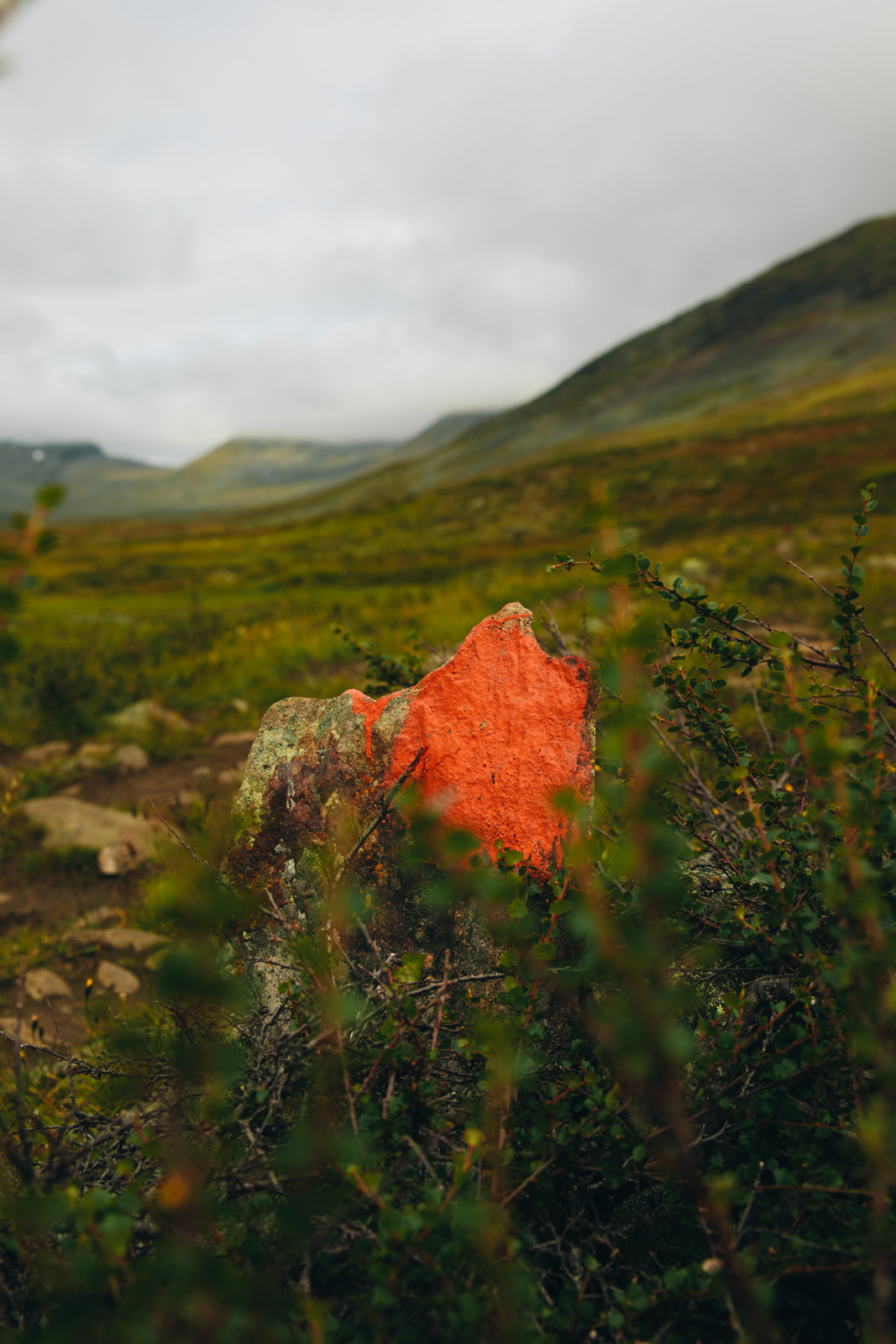 Orangene Markierung des Kungsleden Trail in Schweden