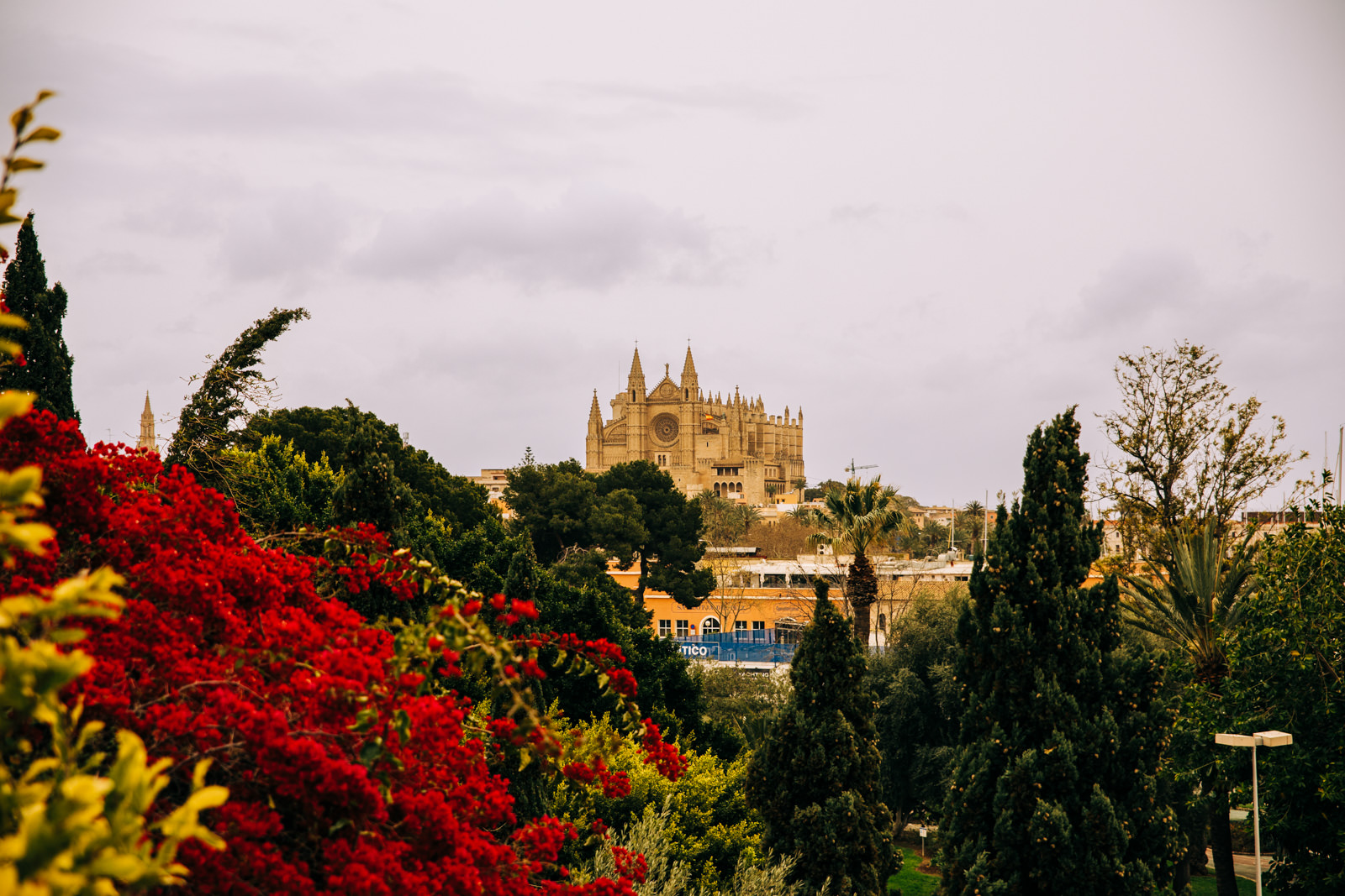 Blick auf die Kathedrale von Mallorca