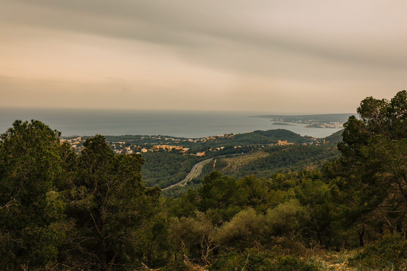 Aussicht auf Palma de Mallorca