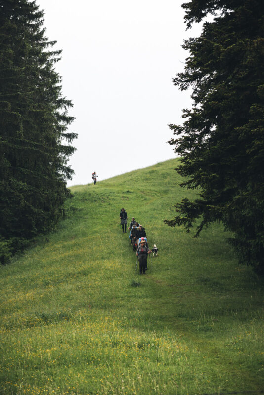 Wanderer kommen den Berg herunter während des Fjällräven Classic Germany